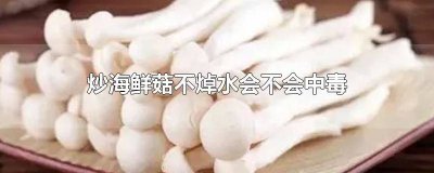 ​海鲜菇用焯水吗会破坏营养吗 海鲜菇炒不熟有毒吗