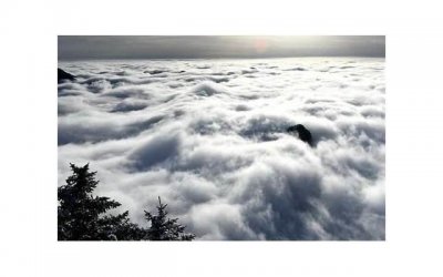 ​为什么说感情到三个月见分晓？有何依据