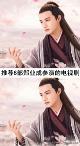 ​推荐8部郑业成参演的电视剧，看过5部以上的算我输