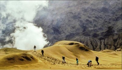 ​“僵尸火山”在新西兰下方缓慢生长
