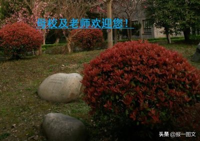 ​泰州这些学校中考成绩“亮亮相”，看看是否与您想象的一样