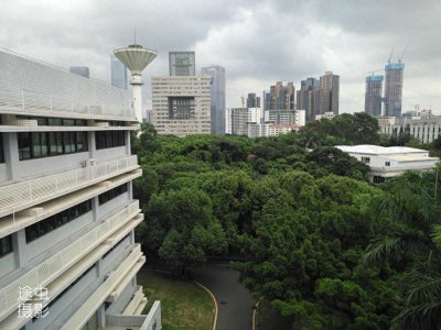 ​在深圳大学俯瞰深圳最强区南山区，天际线壮观，绿化更值得点赞！