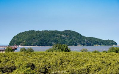 ​广东阳江隐藏一处秘境，入选“中国十大最美海岛”，景色堪比三亚