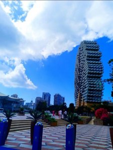 ​走进美丽之冠大树酒店，感动和震撼不止一点点！