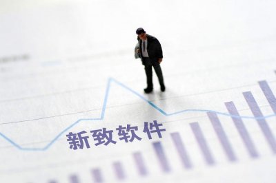 ​新致软件：引领软件行业变革的领军者