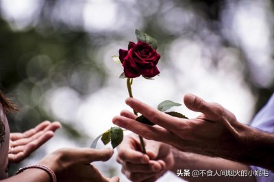 ​旷世才女张爱玲笔下的红玫瑰与白玫瑰