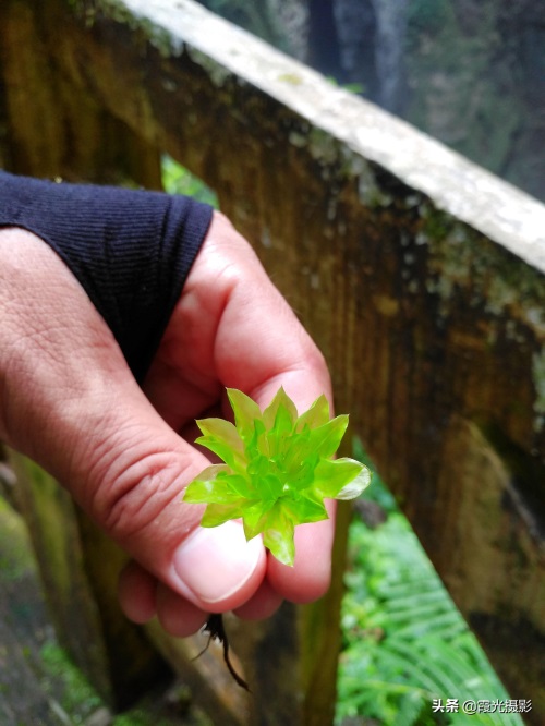 “好大一个坑”，美丽且神秘的重庆奉节小寨天坑