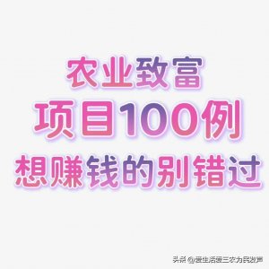 ​农业致富项目100例，想发财的别错过，建议收藏(1)