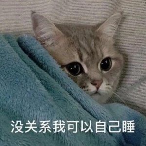 ​委屈巴巴猫猫表情包