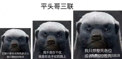 ​平头哥人生信条：值得借鉴！