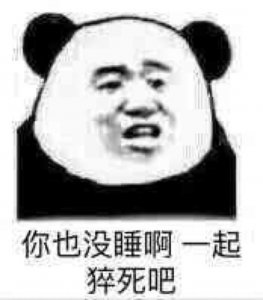 ​表情包：你也没睡，一起猝死啊