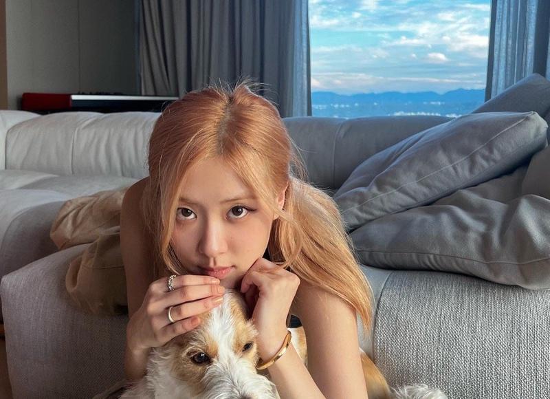 更好破解女生的心灵密码-“天使心”结语