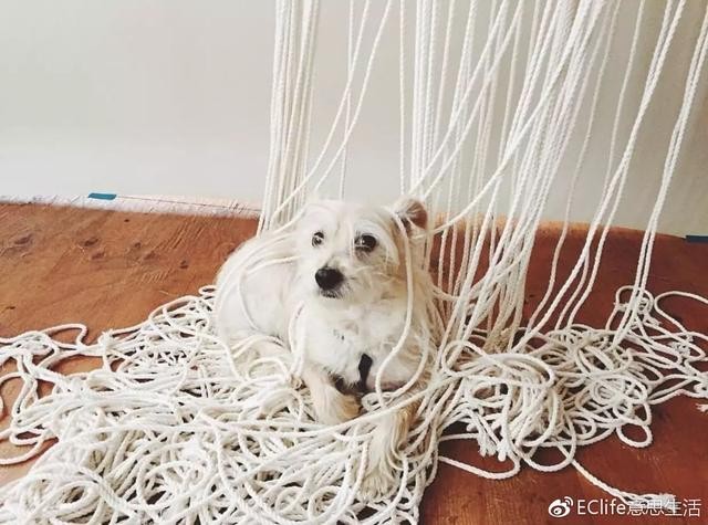 简单易学的挂毯教程（史上最全挂毯挑选攻略）(17)