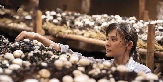 宁夏闽宁镇的来历,闽宁村和福建有什么关系图5