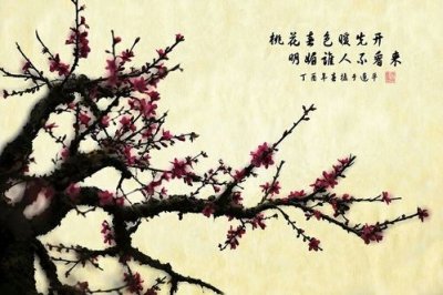 ​十里桃花的诗句大全（桃之夭夭许你十里桃花）