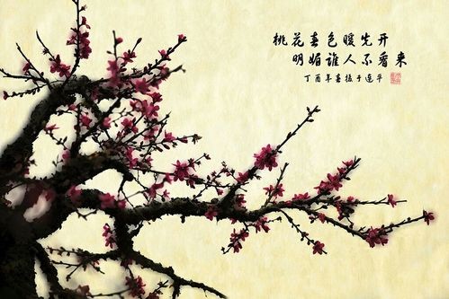 十里桃花的诗句大全（桃之夭夭许你十里桃花）