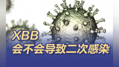 ​XBB会不会导致二次感染?专家解读