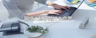 ​网络上码字是什么意思