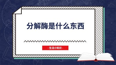 ​分解酶是什么东西