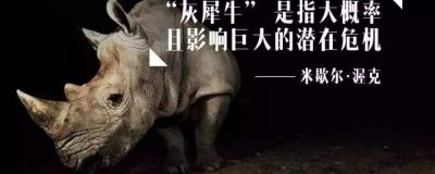 ​灰犀牛事件是什么意思（灰犀牛事件详解）