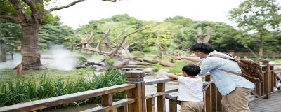 ​动物园和野生动物园区别