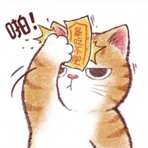 ​猫咪头像分享「每日分享」