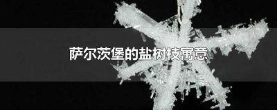 ​萨尔茨堡的盐树枝寓意