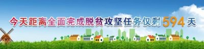 ​扫黑除恶 | 什么是“恶势力”？