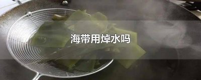 ​做海带汤海带用焯水吗 海带包饭的海带用焯水吗