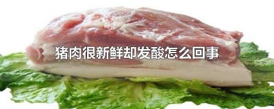 ​生猪肉有点发酸 猪肉发酸了