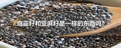 ​奇亚籽和亚麻籽是一样的东西吗?