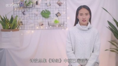 ​柳树的特点