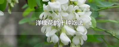 ​洋槐花的十种吃法