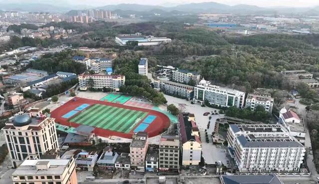 胡鑫宇案为何无人相信是自杀（盘点胡鑫宇案情111天的细节始末）(1)