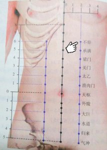 ​每日一穴——不容穴