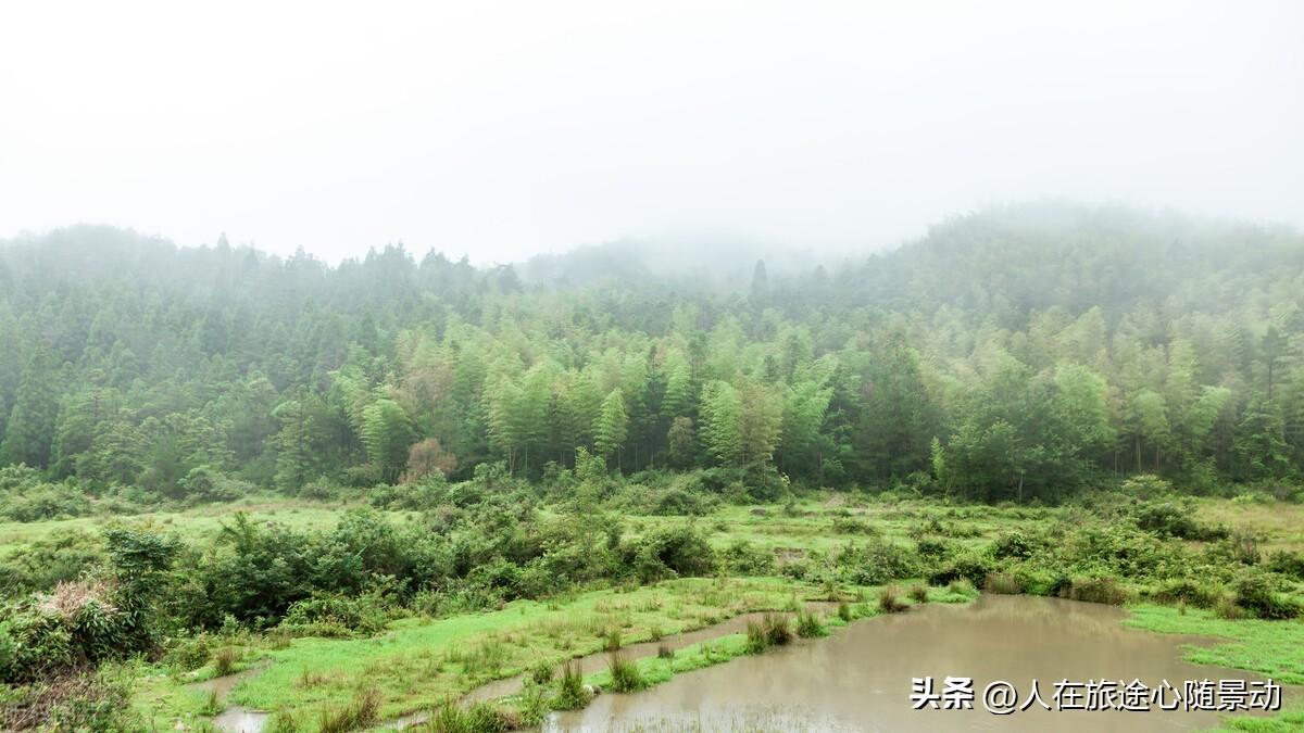 楠溪江旅游最值得去的景点(浙江楠溪江旅游景点大全)