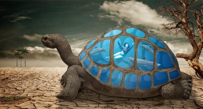​世界上永生不死的动物（什么动物死不了）