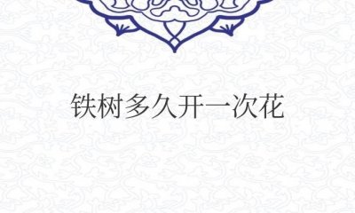 ​铁树多久开一次花结一次果？有什么寓意？