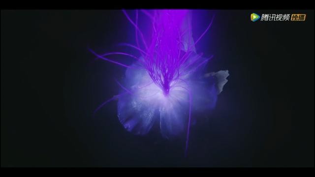 鬼吹灯之精绝古城结局（解析鬼吹灯之精绝古城结局）
