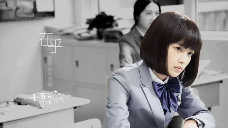 《十五年等待候鸟》剧情简介（《十五年等待候鸟》演员表）(3)_