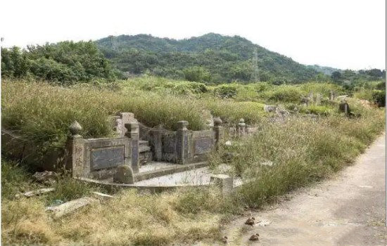 坟地出现这4种异象会遇贵人（坟头开花是吉兆）(4)_