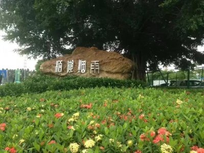 ​东莞松山湖风景区印象，松湖烟雨、松湖花海、适合骑行、风景又美