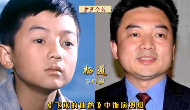 三毛一共有几个扮演者（14位老电影中的小演员今昔）(15)