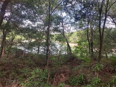 ​今天带大家逛逛深圳，聚龙山公园