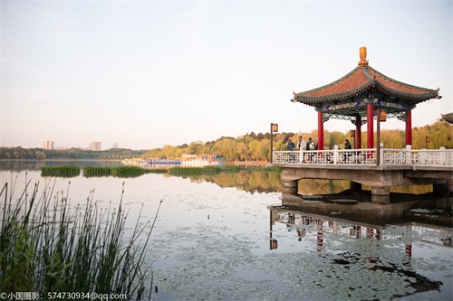 最美公园：长春市南湖公园（风景篇）