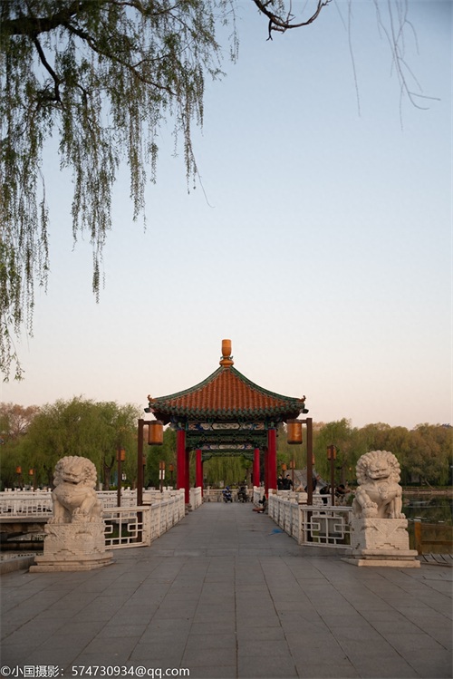 最美公园：长春市南湖公园（风景篇）