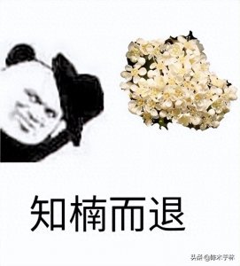 ​“大楠临头”，最污的花——石楠