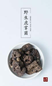 ​虎掌菌‖隐居深山的菌中王者