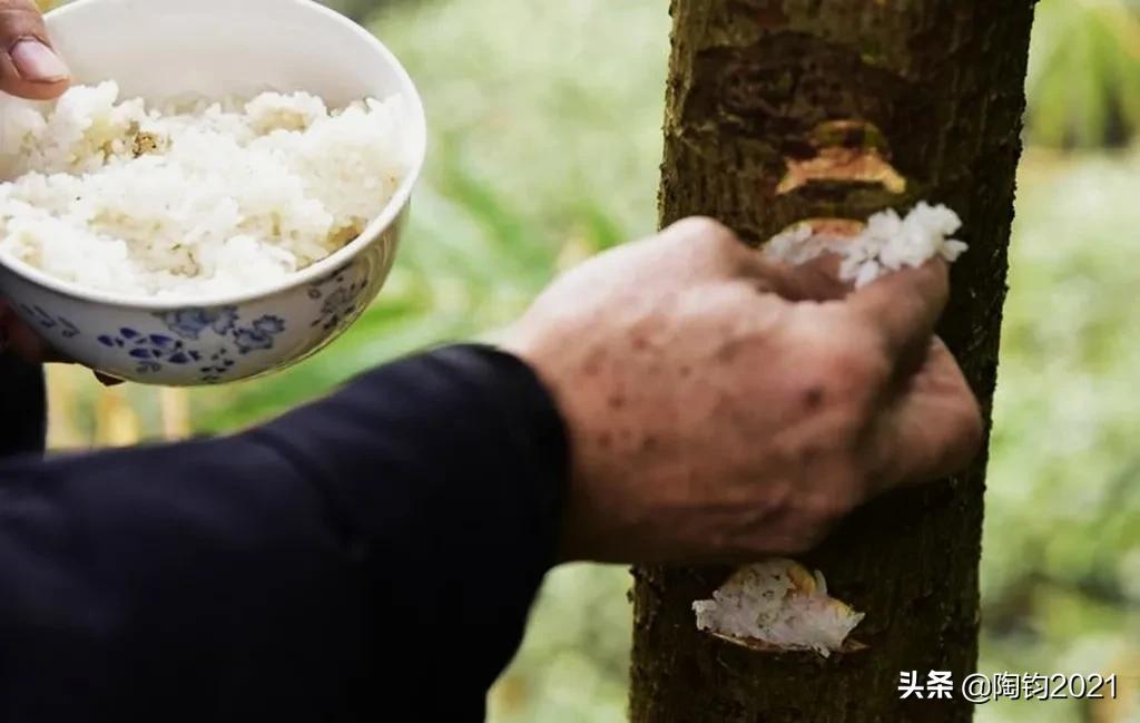 重庆土家族的民风民俗（土家族的风俗有哪些）(图2)