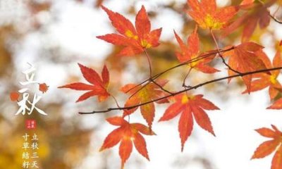 ​立秋养生吃什么好(立秋的饮食与养生)